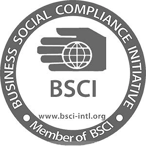 BSCIcertificate