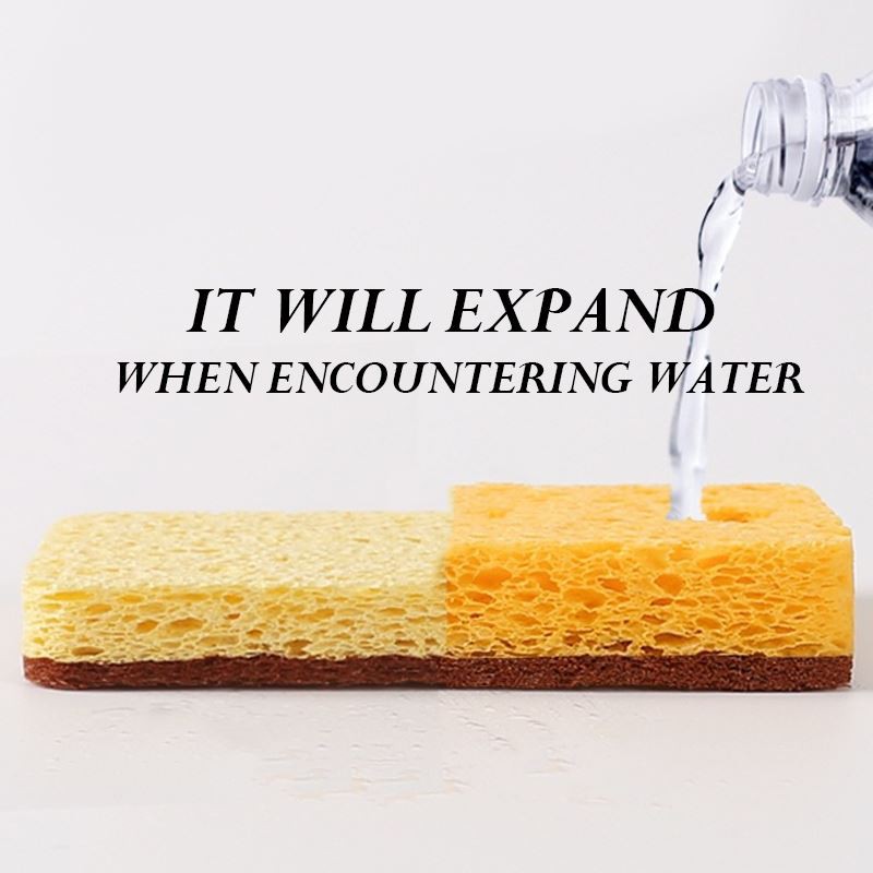 3pk Antimicrobial Sponge Scourer
